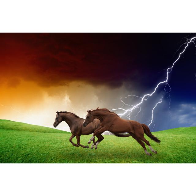 Perrytown Two Horses, Lightning Storm - Wrapped Canvas Print Natur Pur Size: 61cm H x 91cm W x 3.8cm D on Productcaster.