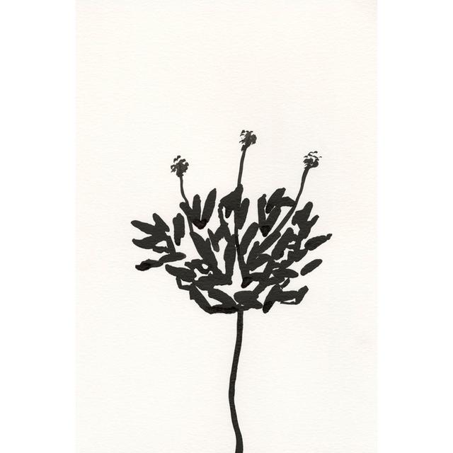 Ink Botanical Sketch III by J. Holland - Wrapped Canvas Painting August Grove Size: 122cm H x 81cm W x 3.8cm D on Productcaster.