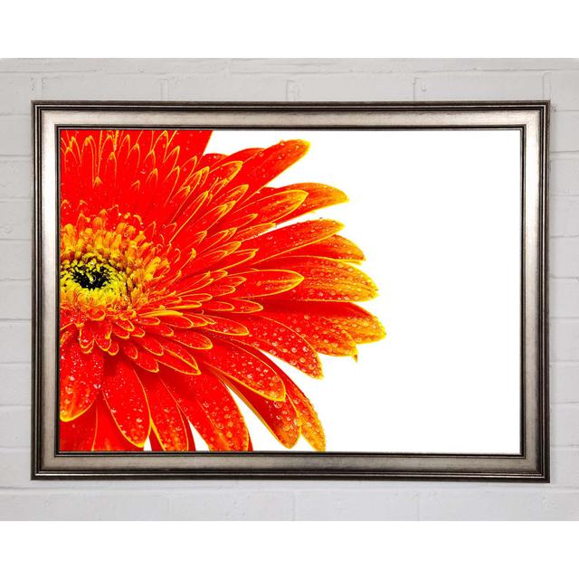 Lava Petals - Single Picture Frame Art Prints Ebern Designs Size: 84.1cm H x 118.9cm W x 1.5cm D on Productcaster.