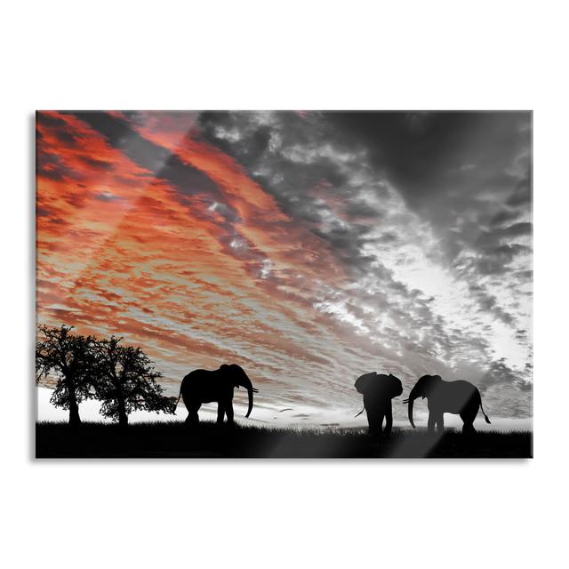 Elephants In The Desert - No Frame Print on Glass Brayden Studio Size: 60cm H x 80cm W x 0.4cm D, Colour: Black/Orange/Grey on Productcaster.