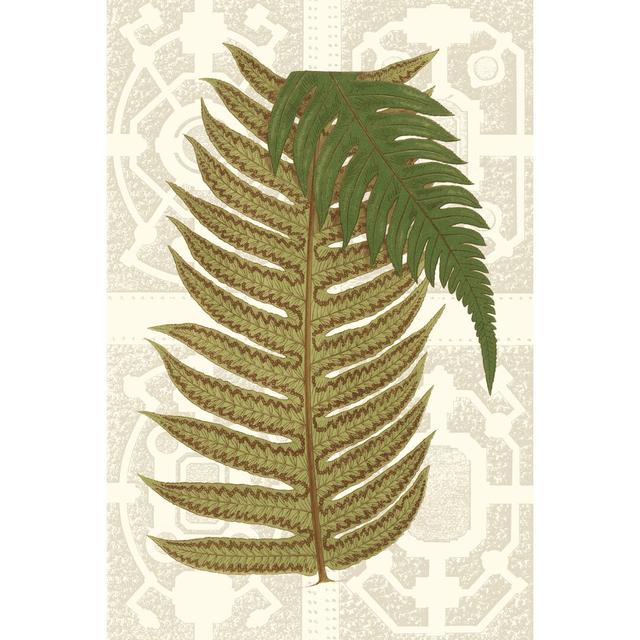 Garden Ferns II - Wrapped Canvas Print 17 Stories Size: 46cm H x 30cm W on Productcaster.