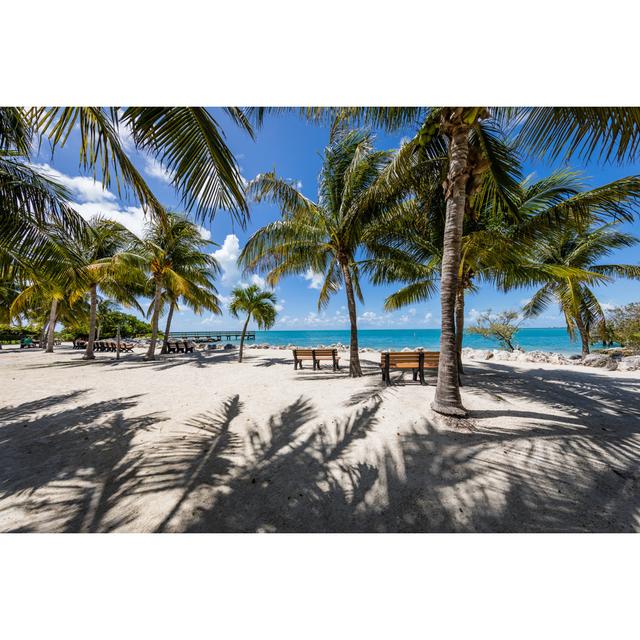 Florida Keys Beach by David Natho - Wrapped Canvas Photograph Pergo Classics Size: 30cm H x 46cm W on Productcaster.