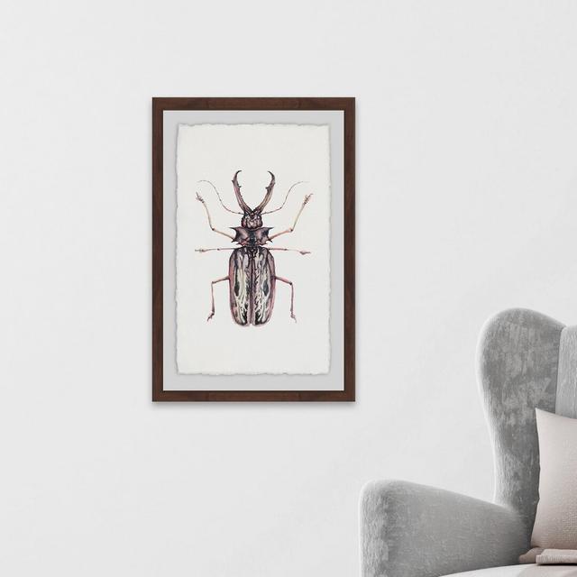 Artsy Insect - Picture Frame Painting Print on Paper East Urban Home Size: 46 cm H x 30 cm W on Productcaster.