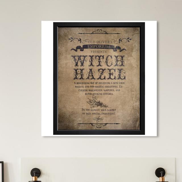 'Witch Hazel' Typography on Wrapped Canvas East Urban Home Size: 50.8 cm H x 43.2 cm W on Productcaster.