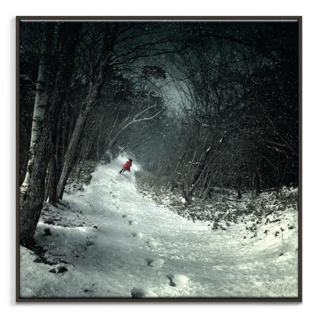 'Into the Winter Forest' Framed Photograph on Canvas East Urban Home Frame Options: Black, Size: 41cm H x 41cm W on Productcaster.