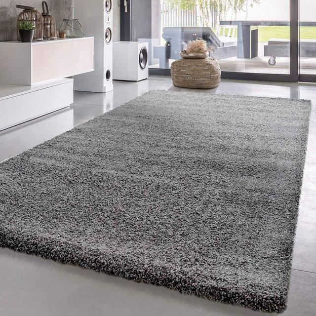 Shaggy Rugs Living Room Carpets Small Medium Large Symple Stuff Rug Size: Rectangle 60 x 110cm on Productcaster.