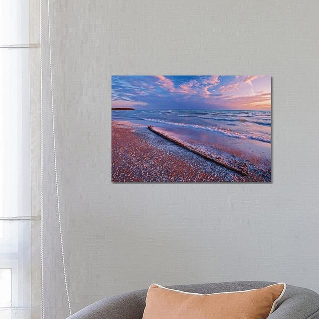 Canada, Ontario, Sandbanks Provincial Park. Pebbles And Shells On Lake Ontario Shoreline House of Hampton Size: 45.72cm H x 66.04cm W x 1.905cm D on Productcaster.