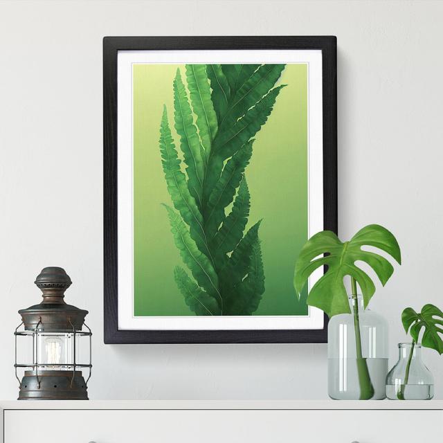 Arbaaz Fern Leaf In Watercolour Vol.1 - Single Picture Frame Print 17 Stories Frame Option: Black, Size: 64cm H x 46cm W x 2cm D on Productcaster.