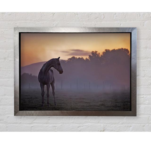 Sunrise Horse - Single Picture Frame Art Prints Bright Star Size: 84.1cm H x 118.9cm W x 3.4cm D on Productcaster.