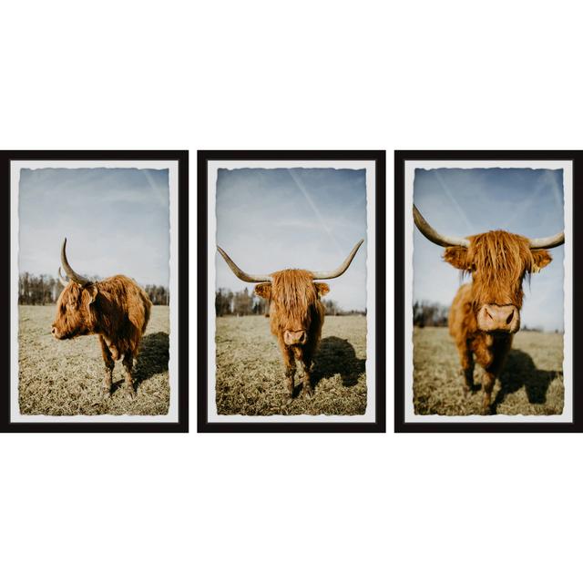 Sweeping Horns Triptych Natur Pur Size: 61cm H x 123cm W x 3.81cm D on Productcaster.