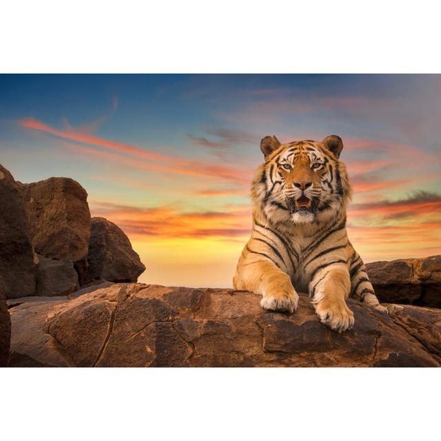 Beautiful Bengal Tiger - Wrapped Canvas Photograph 17 Stories Size: 51cm H x 76cm W x 3.8cm D on Productcaster.