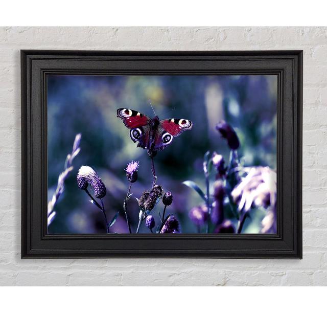 Single Picture Frame Art Prints Ebern Designs Size: 84.1cm H x 142.2cm W on Productcaster.