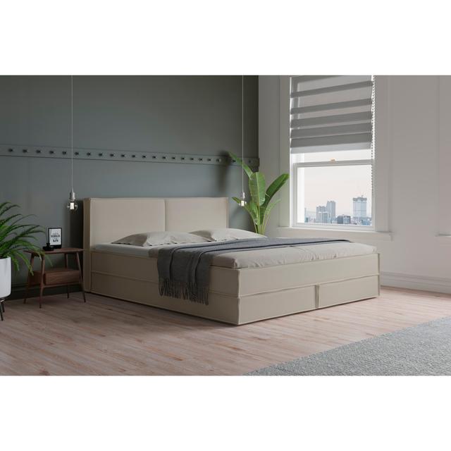 Echtes Boxspringbett Ladona mit Kaltschaum Topper, mit Kunstleder bezogen ModernMoments Farbe: Cremeweiß, Größe: 160 x 200 cm, Matratzenhärte: H3 - ca on Productcaster.