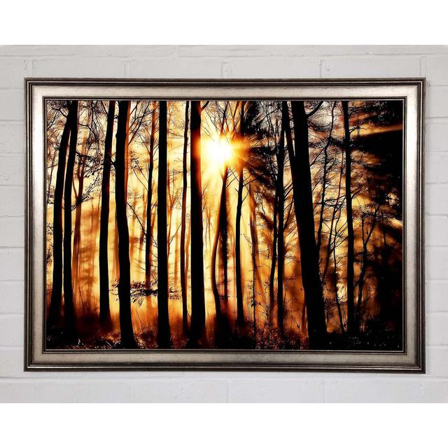 Single Picture Frame Art Prints Union Rustic Size: 42cm H x 59.7cm W x 1.5cm D on Productcaster.