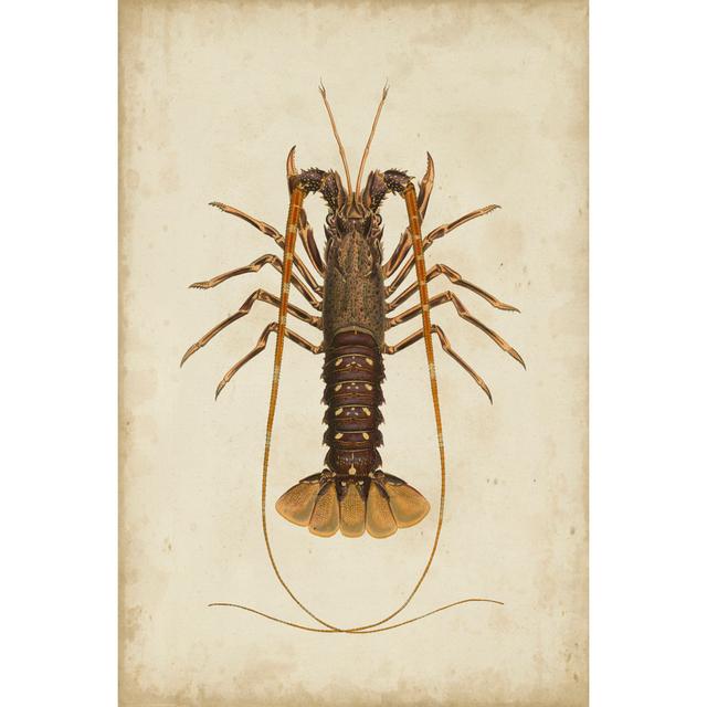 Crustaceans II Highland Dunes Size: 122cm H x 81cm W x 3.8cm D on Productcaster.