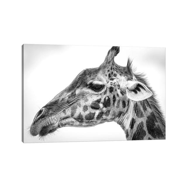 Maasai Giraffe by Jeffrey C. Sink - Wrapped Canvas Print Latitude Run Size: 20.32cm H x 30.48cm W x 1.91cm D on Productcaster.