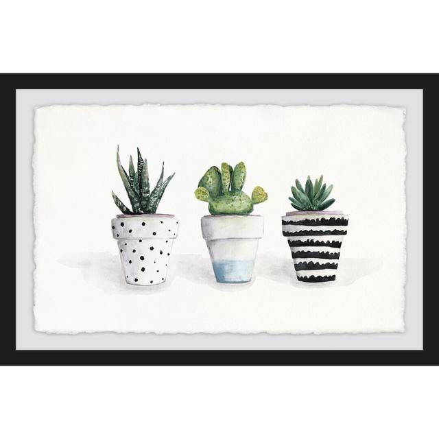 Succulent Trio by Julia Posokhova - Picture Frame Painting Print on Paper East Urban Home Size: 41cm H x 61cm W on Productcaster.