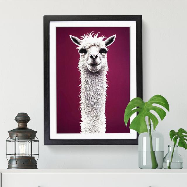 Cheltenham Face of a Llama Vol.1 - Single Picture Frame Graphic Art Natur Pur Size: 64cm H x 46cm W x 2cm D, Frame Colour: Oak on Productcaster.