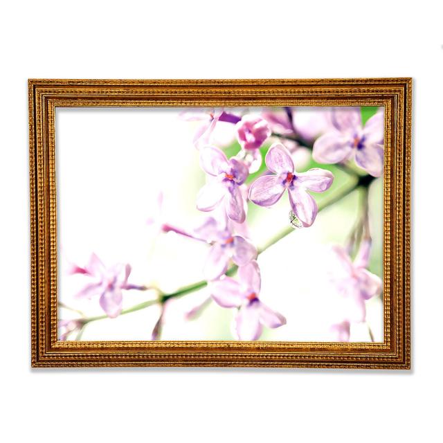 Lilac Flowers - Print Ebern Designs Size: 84.1cm H x 118.9cm W x 3cm D on Productcaster.