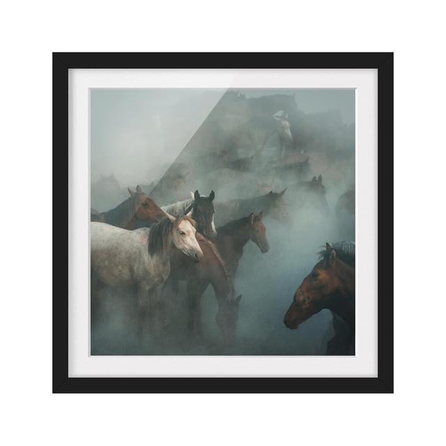 Wild Horses - Picture Frame Graphic Art Union Rustic Frame Option: Black Framed, Size: 50cm H x 50cm W x 2cm D on Productcaster.