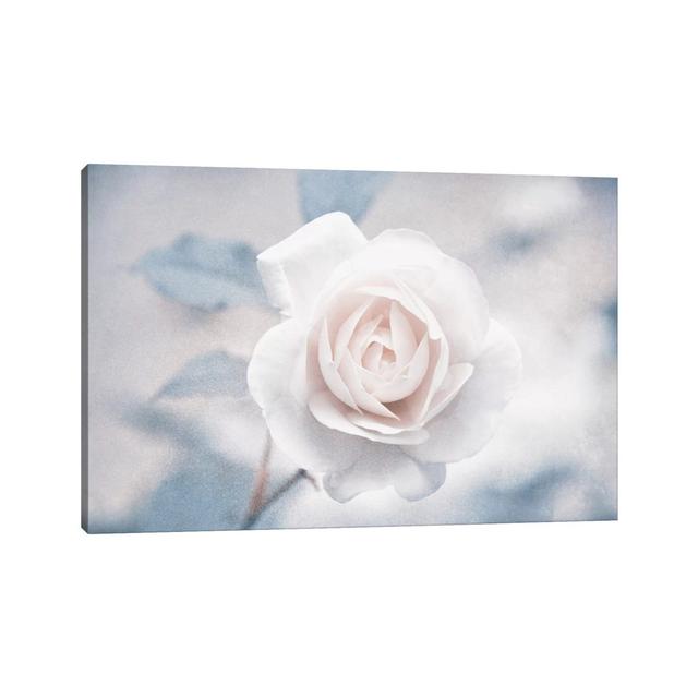 White Rose I by Claudia Drossert - Wrapped Canvas Painting ClassicLiving Size: 66.04cm H x 101.6cm W x 1.905cm D on Productcaster.