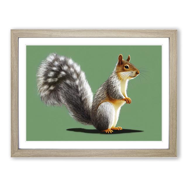 Beauteous Squirrel - Picture Frame Graphic Art Alpen Home Size: 25cm H x 34cm W x 2cm D, Frame Colour: Grey Framed on Productcaster.