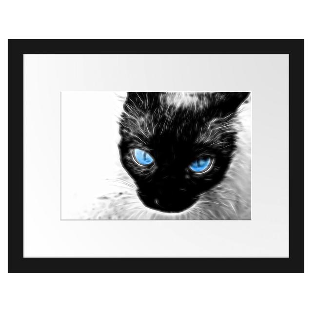 Gerahmtes Poster Blaue Augen Schwarze Katze New Art East Urban Home Größe: 30 cm H x 38 cm B on Productcaster.