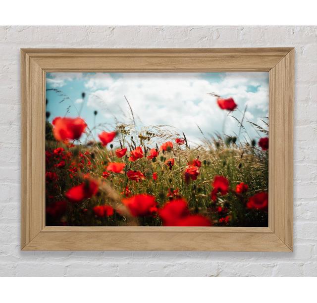 Red Poppies Reaching The Sky - Single Picture Frame Art Prints Bright Star Size: 29.7cm H x 42cm W x 8cm D on Productcaster.