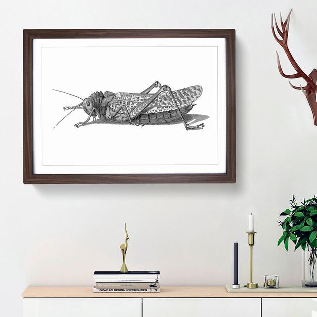 Cricket in Black & White by George Shaw - Picture Frame Painting Print on MDF East Urban Home Size: 48cm H x 65cm W x 2cm D, Frame Option: Walnut Fram on Productcaster.