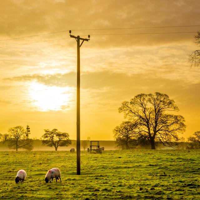 Winter Sunset by John-Kelly - Wrapped Canvas Print Brambly Cottage Size: 76cm H x 76cm W on Productcaster.