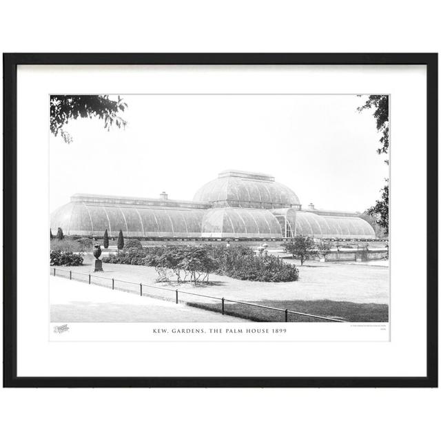 Kew, Gardens, The Palm House 1899 by Francis Frith - Single Picture Frame Print The Francis Frith Collection Size: 28cm H x 36cm W x 2.3cm D on Productcaster.