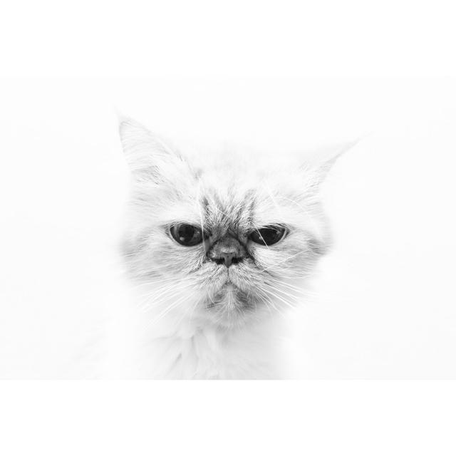 Emison Sad Cat by Juliasv - Wrapped Canvas Photograph Latitude Run Size: 81cm H x 122cm W x 3.8cm D on Productcaster.