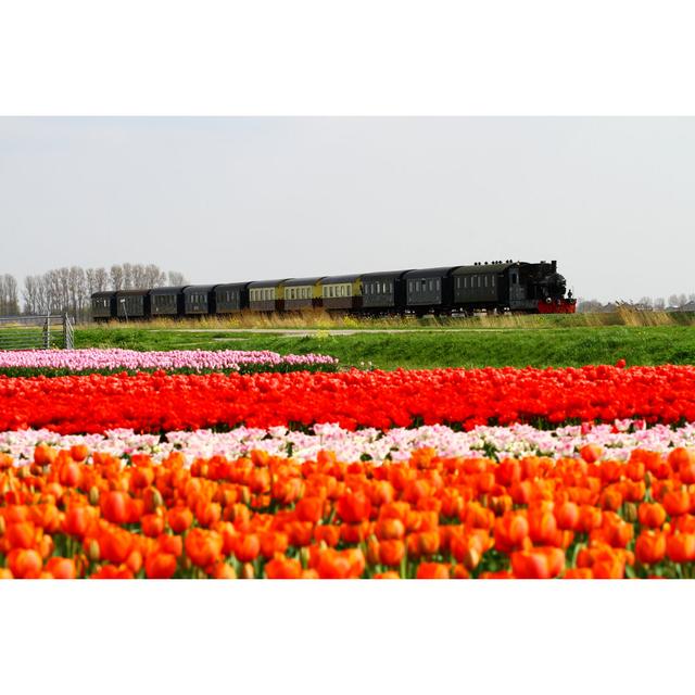 Hoorn Steam Tram by StazioneCentrale - Wrapped Canvas Print 17 Stories Size: 20cm H x 30cm W on Productcaster.