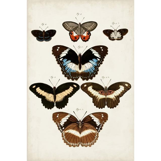 Vintage Butterflies II - Wrapped Canvas Painting August Grove Size: 122cm H x 81cm W x 3.8cm D on Productcaster.