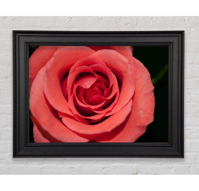 Single Picture Frame Art Prints Canora Grey Size: 42cm H x 59.7cm W x 8cm D on Productcaster.