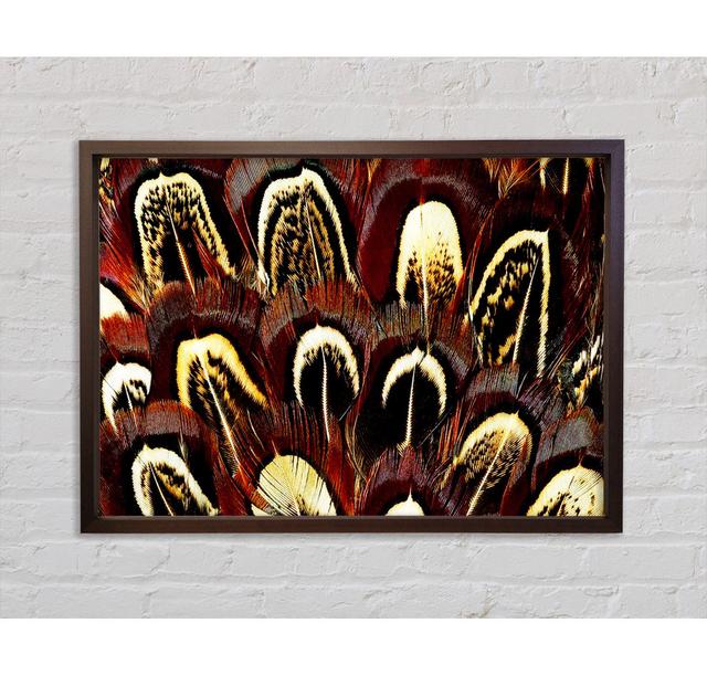 Feather Fan - Single Picture Frame Art Prints on Canvas Bright Star Size: 100cm H x 141.4cm W x 3.3cm D on Productcaster.