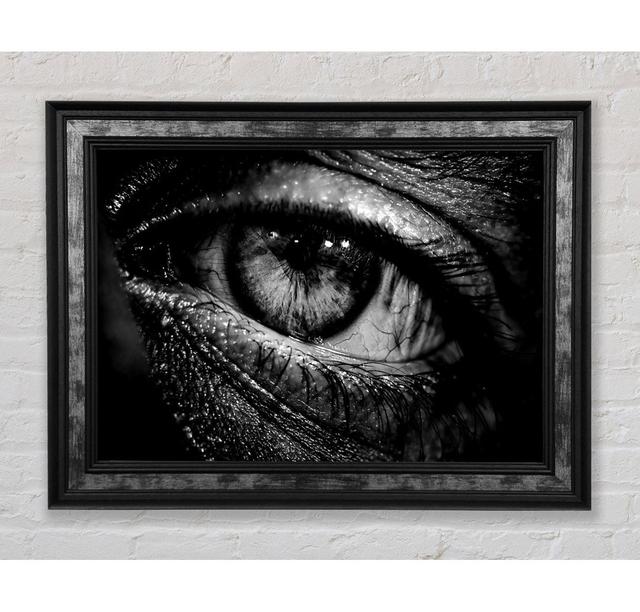 The Eye Of Knowledge - Print Bright Star Size: 29.7cm H x 42cm W x 8cm D on Productcaster.