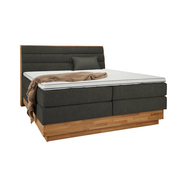 Boxspringbett Marissa mit Topper und Bettkasten COTTA Topper: Topper Premium Kaltschaum 7 cm 35RG, Härtegrad: H3/H4, Farbe: HolzkohleAnthrazit on Productcaster.