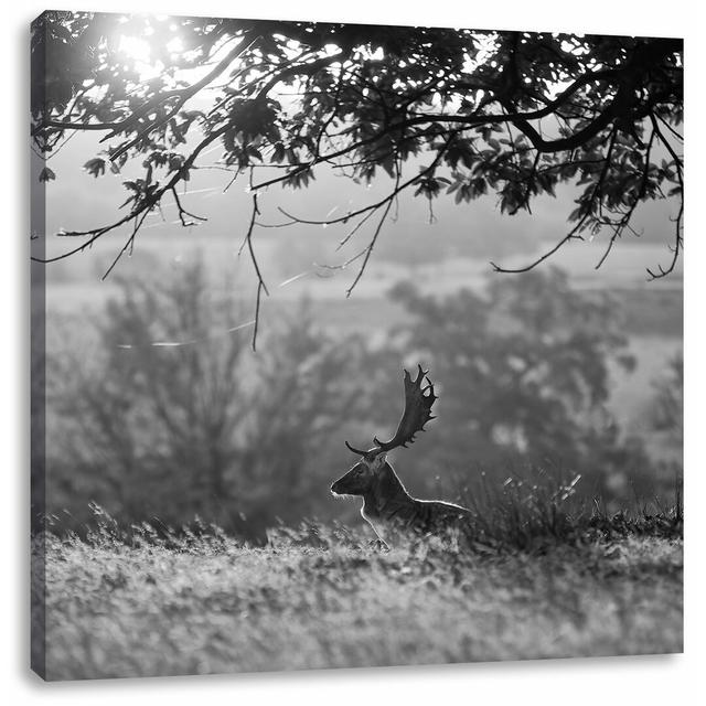 Leinwandbild Damhirschbock Herbstmorgen East Urban Home Größe: 60 cm H x 60 cm B on Productcaster.