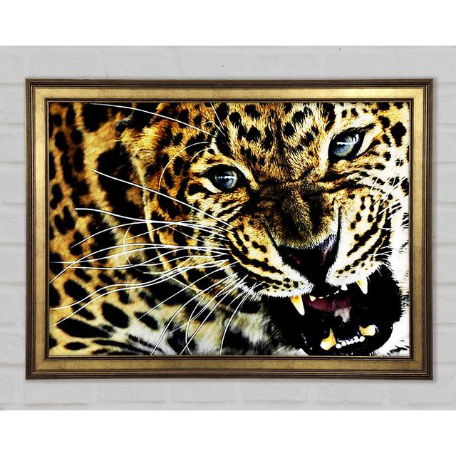 Leopard Roar - Single Picture Frame Art Prints Ebern Designs Size: 42cm H x 59.7cm W x 1.5cm D on Productcaster.