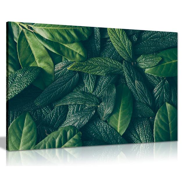 Green Leaves Nature - Wrapped Canvas Photograph Ebern Designs Size: 41cm H x 61cm W on Productcaster.