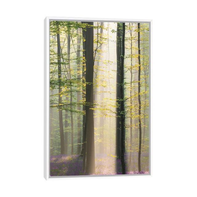 Misty Sunrise In Hallerbos by Denisa Vlaicu - Print on Canvas Union Rustic on Productcaster.