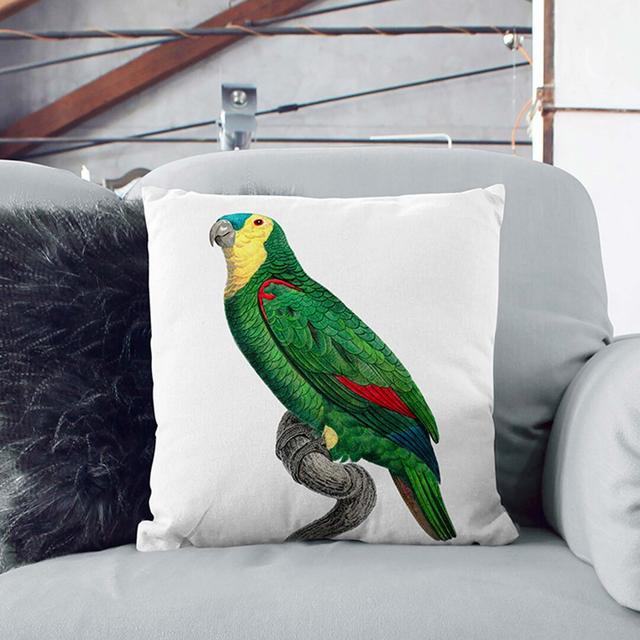 Blue-Fronted Amazon Parrot by F. Levaillant Cushion with Filling East Urban Home Size: 40cm H x 40cm W x 15cm D, Backing Colour: White on Productcaster.