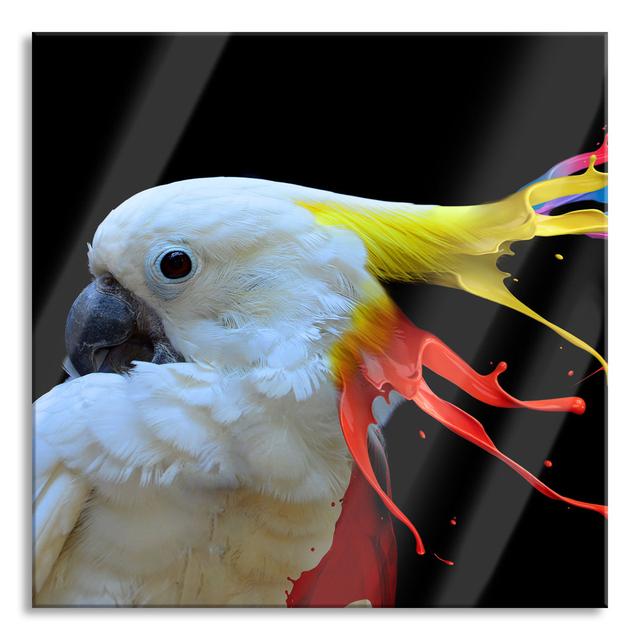 Parrot with a Comb - Unframed Photograph on Glass 17 Stories Size: 60cm H x 60cm W x 0.4cm D on Productcaster.