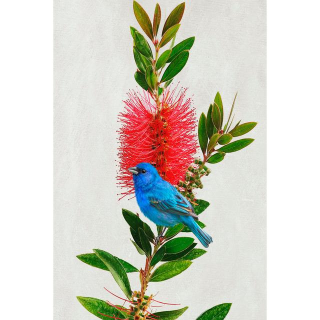 Avian Tropics III by Chris Vest - Wrapped Canvas Painting Ebern Designs Size: 91cm H x 61cm W on Productcaster.