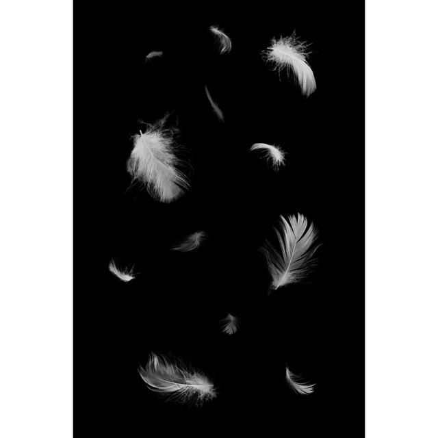 White Feathers - Wrapped Canvas Photograph World Menagerie Size: 76cm H x 51cm W x 3.8cm D on Productcaster.