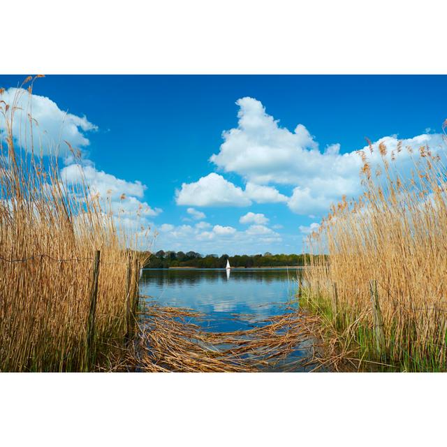 Sailing On Frensham Great Pond In The Surrey Hills by Simonbradfield - No Frame Print on Canvas 17 Stories Size: 20cm H x 30cm W on Productcaster.