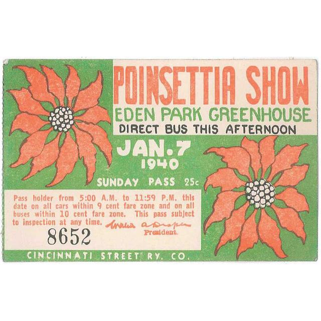 Poinsettia Show Poster Maturi Size: 81cm H x 122cm W x 3.8cm D on Productcaster.