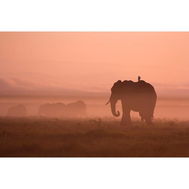 Elephants At Dawn - Print 17 Stories Size: 51cm H x 76cm W x 3.8cm D on Productcaster.