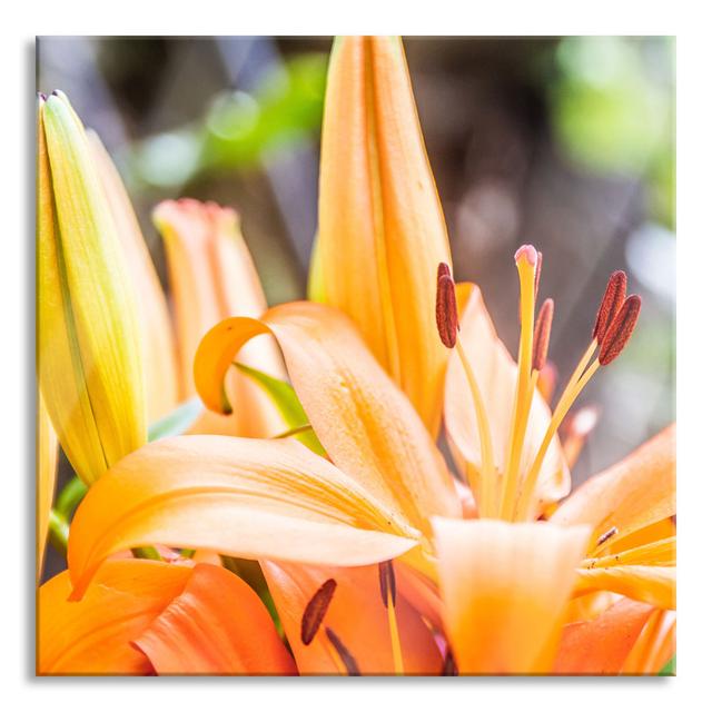 Glasbild Beautiful, Orange Lilies Brayden Studio Größe: 60 cm H x 60 cm B x 0.4 cm T on Productcaster.